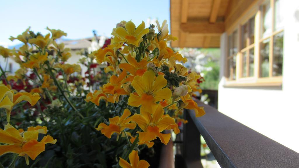 Chalet Casa al Poz Tassullo Esterno foto